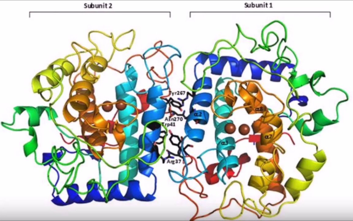 Các cách để ức chế sản sinh enzyme tyrosinase giảm thâm, nám trên da