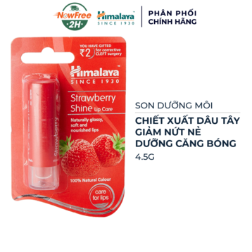 Son Dưỡng Môi Himalaya Herbals Hương Dâu 4.5g