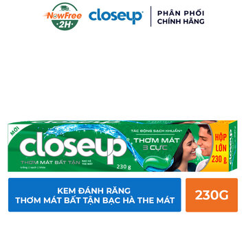 Kem Đánh Răng Closeup Thơm Mát Bất Tận Bạc Hà The Mát 230g