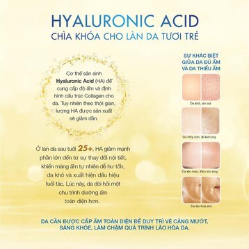 Kem Dưỡng Ẩm Hada Labo Toàn Diện Da Căng Mướt 50g