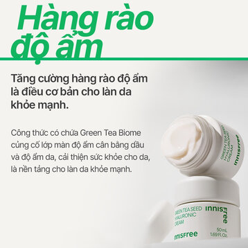 Kem Dưỡng innisfree Cấp Ẩm Từ Chiết Xuất Trà Xanh 50ml (Mới)