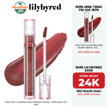 Son Tint Lilybyred M16 Cherish Fudge - Hồng Nâu Gỗ 3.8g