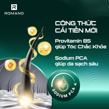 Tắm Gội 2 Trong 1 Romano Hương Nước Hoa Classic 650g